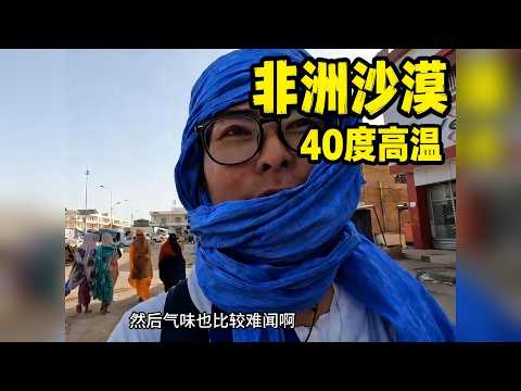 误入沙漠里的贫民窟，垃圾场旁边做鱼干，这生存环境真不容易！ 误入沙漠里的贫民窟，垃圾场旁边做鱼干，这生存环境真不容易！
