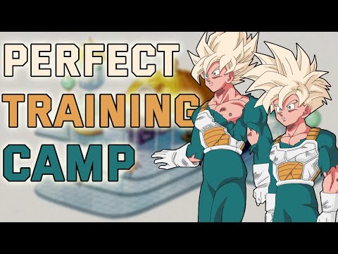 Goku's BEST Training Camp EVER