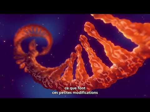 AIR-MT – projet lauréat Impact Santé