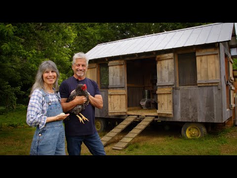 How to Take Care of Chickens - Farm Tour