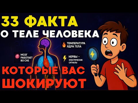 33 Факта О Человеческом Теле, Которые Вас Шокируют