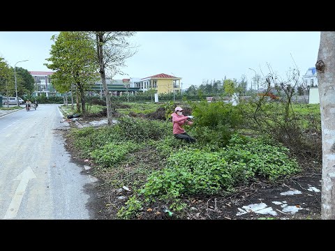 Why Do People Ignore These Black Trash Bags Without Anyone Cleaning Them