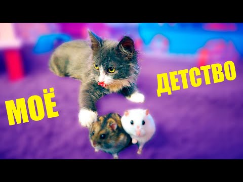 КОГДА Я БЫЛА КОТЕНКОМ ЧУТЬ НЕ СЪЕЛА ХОМЯКОВ! МОЁ ДЕТСТВО ГЛАЗАМИ КОШКИ АЛИСЫ ЧАСТЬ 2