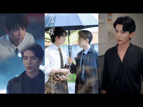 【完整版】刘晏辰&王年将成《刀口之蜜》白切黑养成系狼狗VS美强惨掌权者，你把我拉进地狱的，没有我你休想离开！#短剧 #完結 #蔓蔓書屋 #大结局