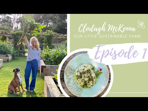 Our Little Sustainable Farm - Episode 1