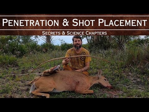 Shot Placement &amp; Penetration Explained