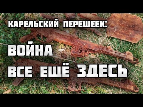 Who scattered weapons in the swamp?/WWII excavations