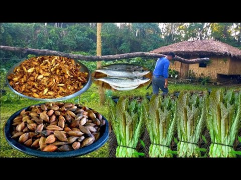 Biyaya Ng  Kalikasan | Pag Luluto Ng Pili Nuts Pritong isda At Gulay Na Lubi Lubi | Binatang Pinoy'