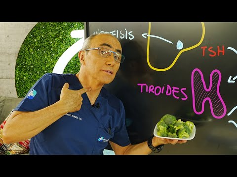 Guía Completa: El Mejor Tratamiento para el Hipotiroidismo 🧬