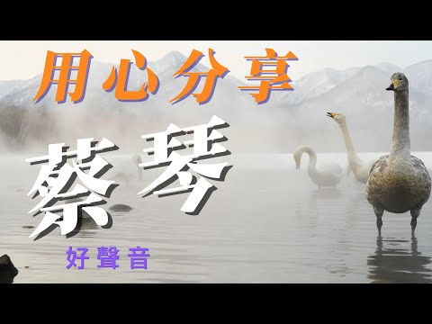 蔡琴 歌詞字幕💕💕💕（用心分享）