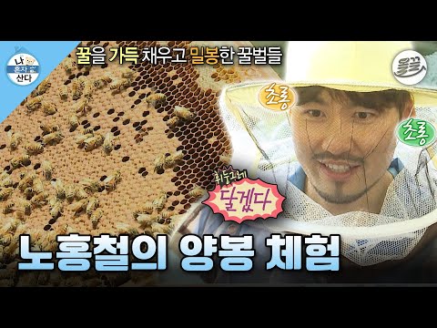 [#나혼자산다] 단 거를 너무 좋아하는 홍철의 벌집 아이스크림을 만들기 위한 양봉 체험🍯 #나혼산 #노홍철 #양봉 MBC130830방송