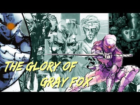 The Glory of Gray Fox