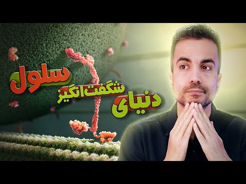 دنیای شگفت انگیز سلول