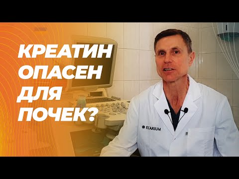 Creatine and the kidneys