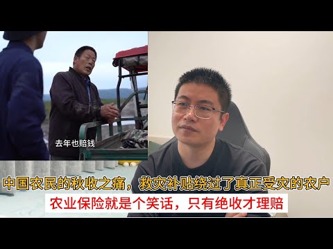 中国农民的秋收之痛，救灾补贴绕过了真正受灾的农户；农业保险就是个笑话，只有绝收才理赔