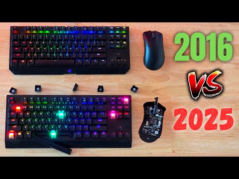 The Downfall of Razer
