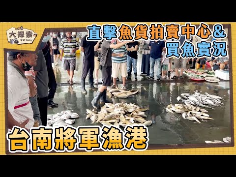 【漁港走透透 Fishing Harbor Tales】#55 台南將軍漁港及買魚實況｜Fishing Port & Seafood ｜EP_149