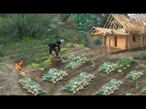 90 Days growing kohlrabi, Harvesting giant mangosteens, Tree grapes—From star to finish, Wild life