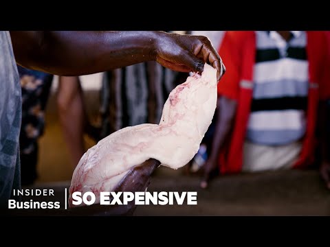 How Chinese Demand For Fish Maw (Swim Bladder) Fuels A $52 Million Industry In Uganda | So Expensive