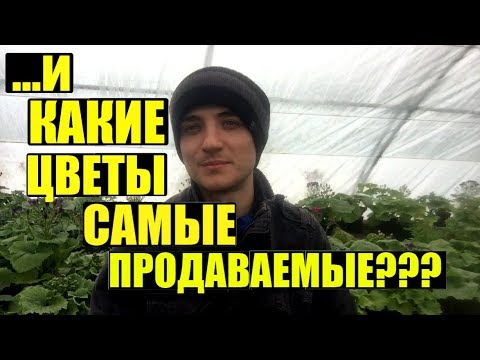 8 марта. Итоги. Сколько растений осталось в теплице?