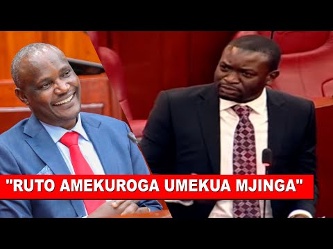 DRAMA!! Listen to what Senator Sifuna told CS Mbadi face to face after failing to honor senate callπ₯