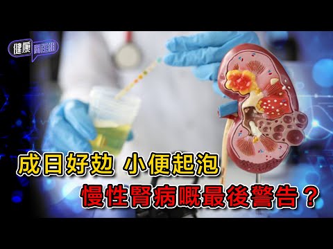 成日好攰 小便起泡 慢性腎病嘅最後警告？ ｜ 健康關注組 ｜ EP446 ｜ 慢性腎病 ｜ 蛋白尿 ｜ 腎衰竭 ｜ 洗腎 ｜ 黃芳雯 ｜ 朱智賢 ｜ HOY TV 77台