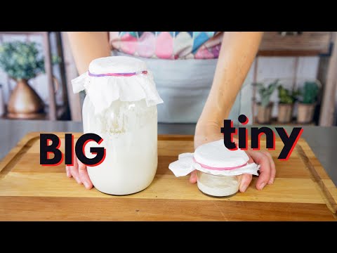 Make a sourdough starter really big or really small and save your flour!