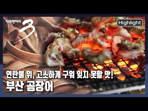 [다큐3일★하이라이트] 고소한 💨냄새와 연탄 타는 💨냄새가 공존하는 골목! “버텨봐야지예 - 부산 곰장어 골목 72시간” (KBS 20220116 방송)
