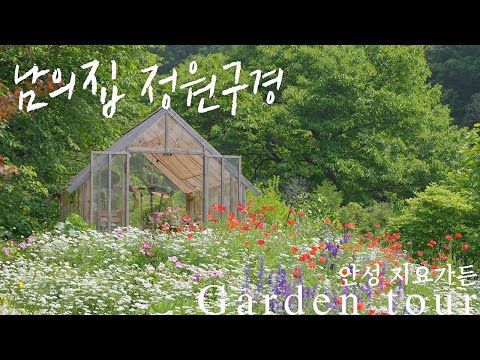 [Garden Tour] Shaping Clay with Nature: A Potter’s Garden — Have You Ever Seen This Many Orlaya?