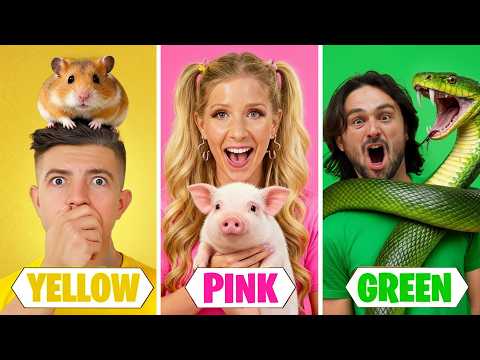 I Adopted Animals in One Color!