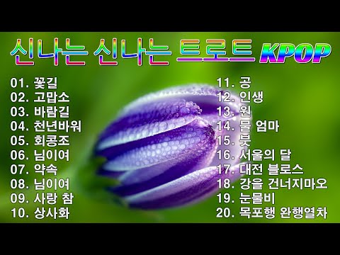 [ NEW ] 신나는 신나는 트로트 KPOP (TROT) PLAYLIST 🗃️ ( 꽃길.상사화.여인의 눈물.회룡포.바람길...) #kpop