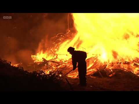 Dryad x BBC Click | Ultra-Early Wildfire Detection