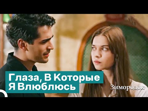 Как Я Встретил Любовь Всей Моей Жизни? | Зимородок
