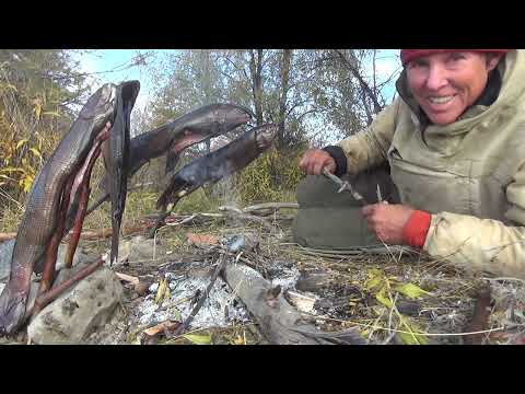 Chukotka 2025. Part 11. Maly Anyuy. From the bridge to the forest.