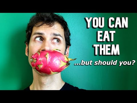 DRAGON FRUIT PEELS - You Can Eat Them...but should you?