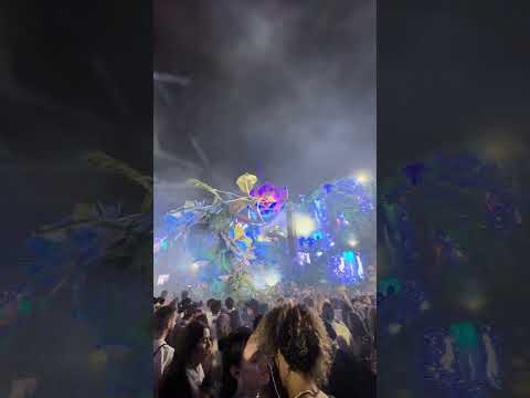 Tomorrowland 2024 - Mainstage - Dimitri Vegas & Like Mike