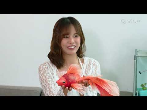 《手尋藝術》 EP 8 - 紙藝定格動畫師 Vika Cheng