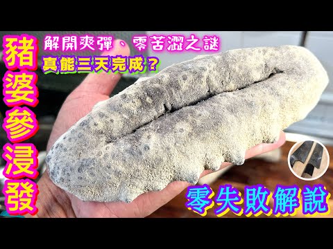 【豬婆海參浸發】 10天全程詳細解說⭐️合新手⭐️由選購開始💰點揀🟡幾錢斤🟠浸發大忌🟢保存注意🟣老闆親自教路🙏🏼😊