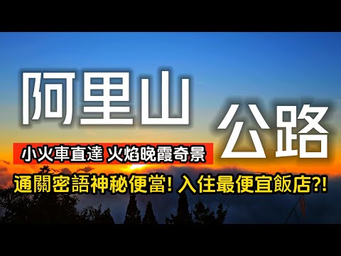 台灣一生必訪絕美公路❗首曝光『最便宜』奮起湖便當❗冬季火焰晚霞奇景｜阿里山評價最低飯店❗到底能住嗎❓｜小火車居然倒著走｜阿里山❌嘉義｜TAIWAN｜