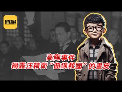 袁Sir聊“高陶事件”：汪精卫做汉奸是为了曲线救国？#lifeano漫聊 250420