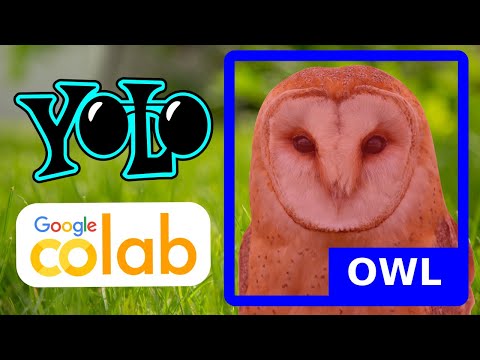 Train Yolov8 Instance Segmentation Custom Dataset on Google Colab | Computer vision tutorial