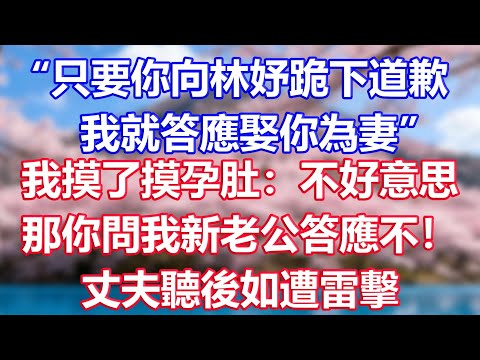 “只要你向林妤跪下道歉，我就答應娶你為妻”，我摸了摸孕肚：不好意思，那你問我新老公答應不！丈夫聽後如遭雷擊