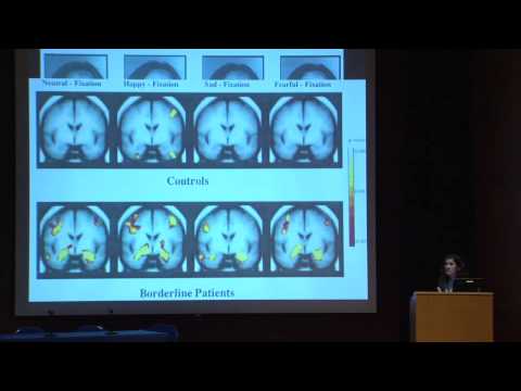 BPD-related cognitive-perceptual difficulties and challenges in their diagnosis and treatment