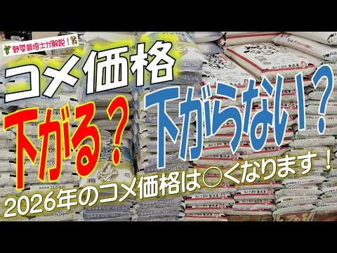 コメ増産なのに価格が下がらない“本当の理由”来年も米は高いのか？