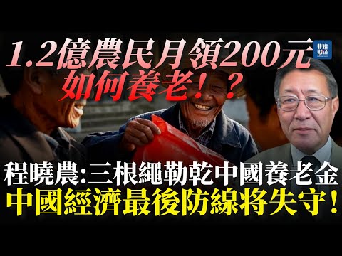 【中共體制性剝奪】交30年公糧不算社保！1.2億農民月領200元如何養老！？程曉農：三根繩索勒乾中國養老金，2028年恐耗盡！中國經濟最後防線将失守！#程曉農#農村养老金#中国经济#養老金#中共特权