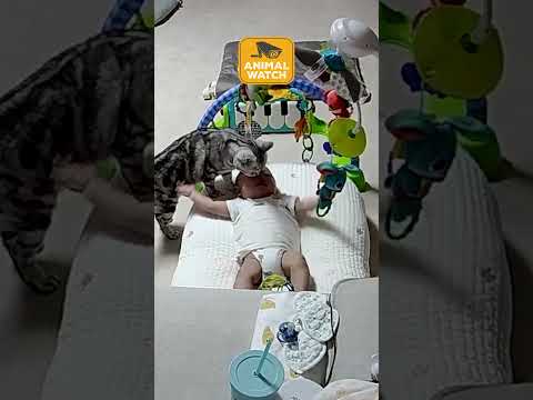 Caught Being Cute | Animal Watch 💞