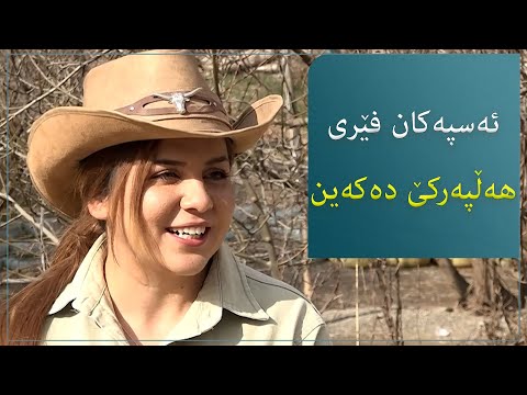 "ڕاهێنان بە ئەسپەکان دەکەین کە بە جوڵەی جیاواز و هەڵپەرکێوە بڕۆن بەڕێوە"