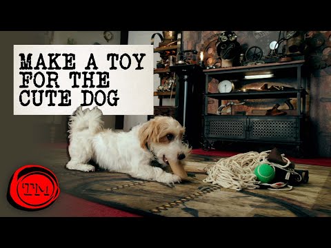 The CUTEST Task Of All Time | Full Task | Taskmaster