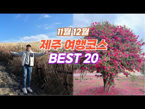 November and December Jeju travel recommendation course BEST 20