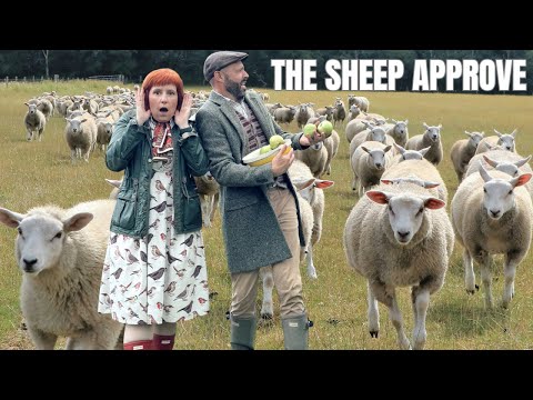 A Cosy Autumn Farm Life in England 🍂🐑